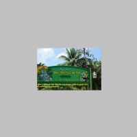 38590 13 028 Dunn´s River Falls, Ocho Rios Jamaica, Karibik-Kreuzfahrt 2020.JPG